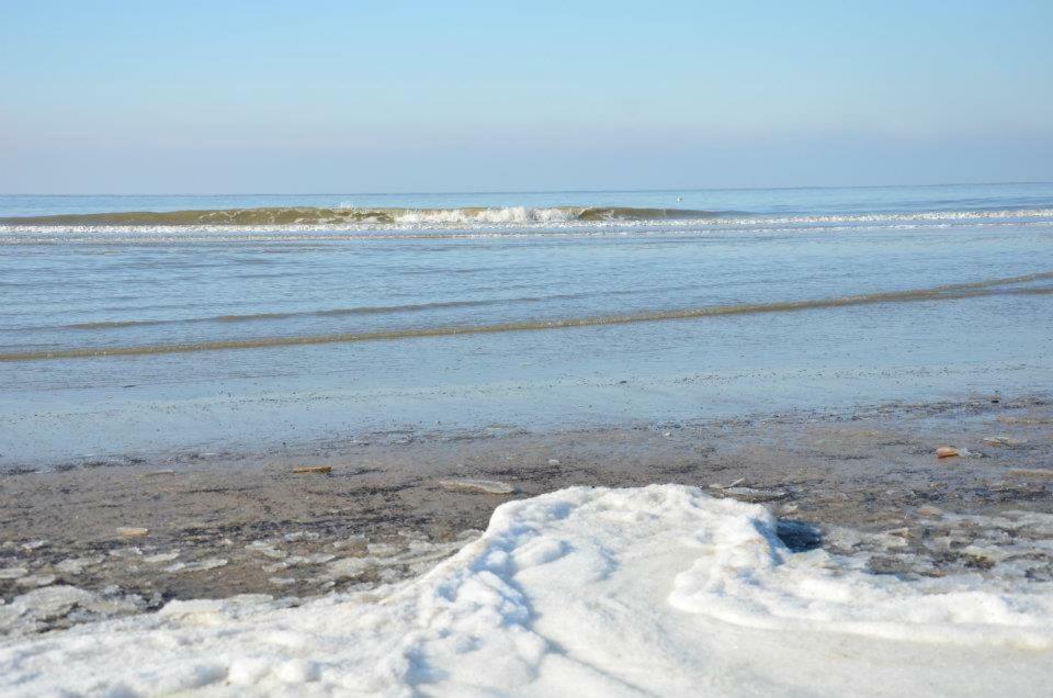 Pension 'T Hofje 350 Meter Van Het Strand Noordwijk Zewnętrze zdjęcie