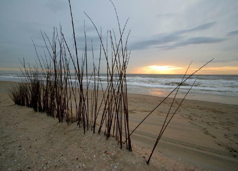 Pension 'T Hofje 350 Meter Van Het Strand Noordwijk Zewnętrze zdjęcie